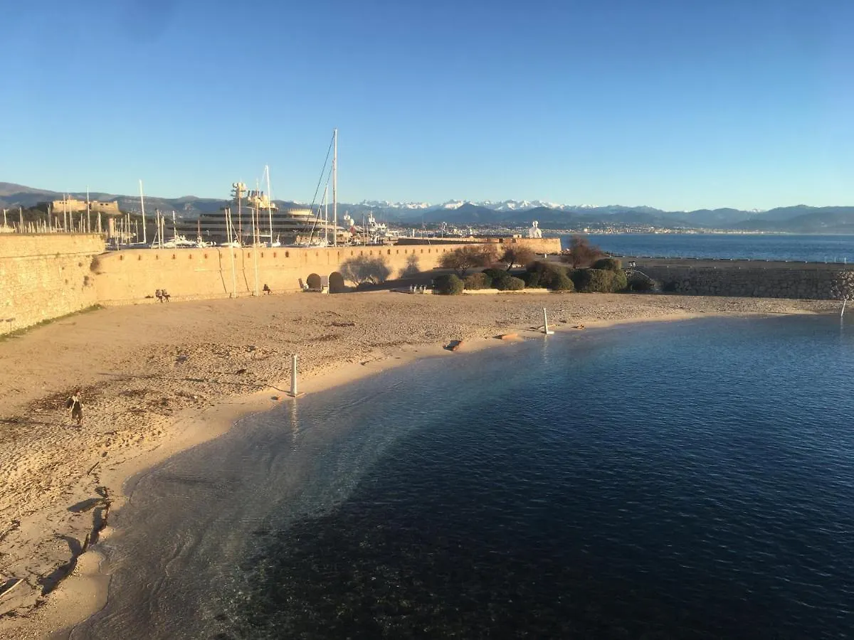 Tortue De Mer Antibes